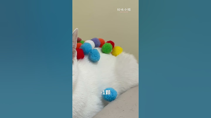 貓為了吃飯會忍耐多久？ #好味小姐 #好味貓日常 #cat