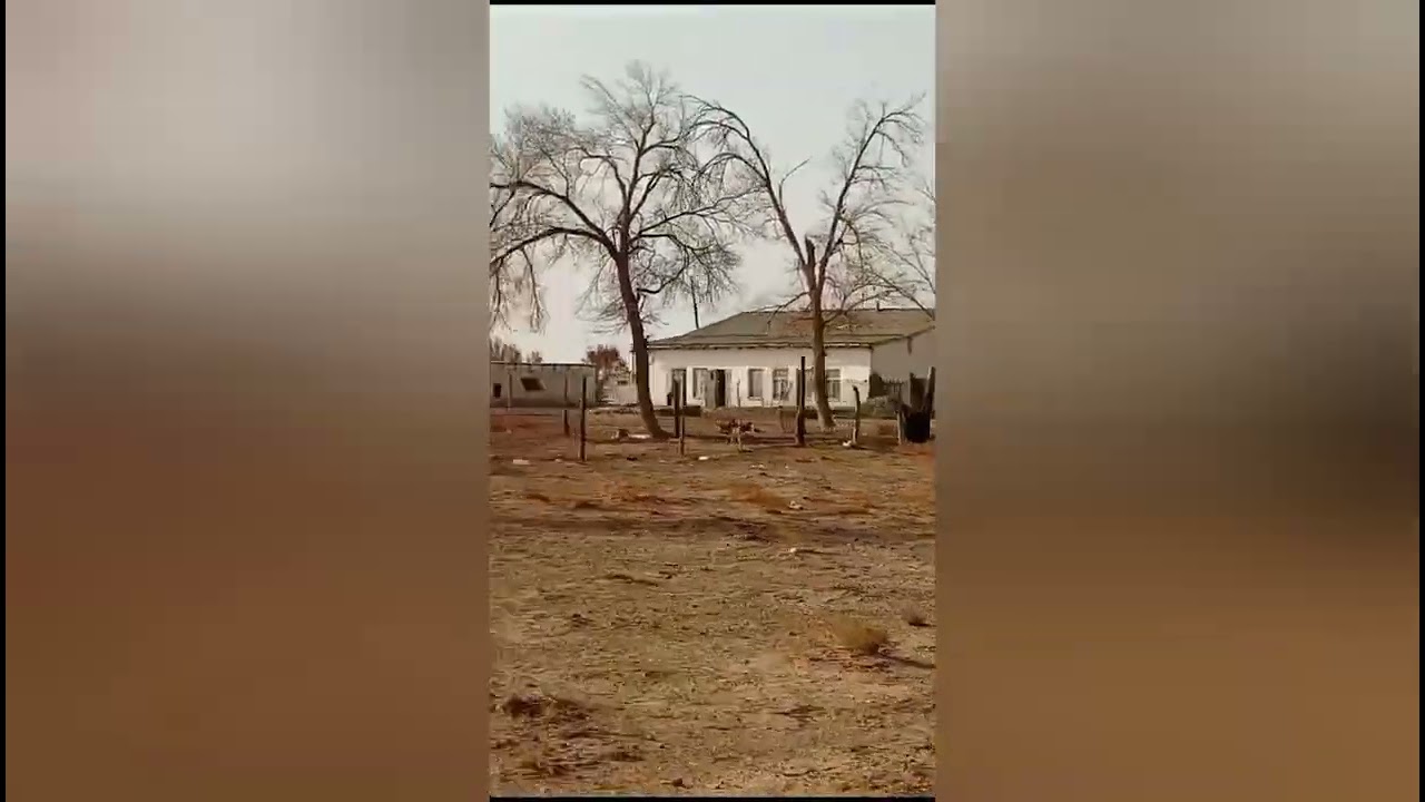 Мәдениет ауылы