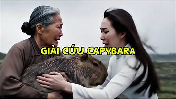 Phim Ngắn Cảm Động 2025: Capybara Bị Bắt Cóc, Bà Cô Gầy Gò Quyết Tìm Lại