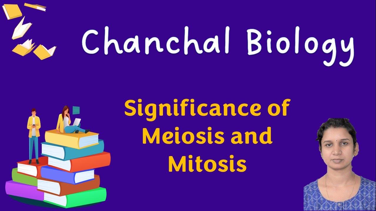 Significance of Meiosis and Mitosis# NCERT# CLASS 11 