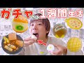 NEW ガチャ で取った物だけで1週間生活出来るのか 過酷な運まかせ ガチャガチャ 生活 2021年ver NEW ガチャ で取った物だけで1週間生活出来るのか 過酷な運まかせ ガチャガチャ 生活 2021年ver