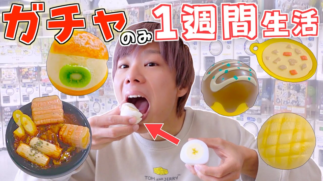 ガチャガチャで引いたものです ほんとに遊べる!?すみっコぐらし 最新ガチャ 危機一発