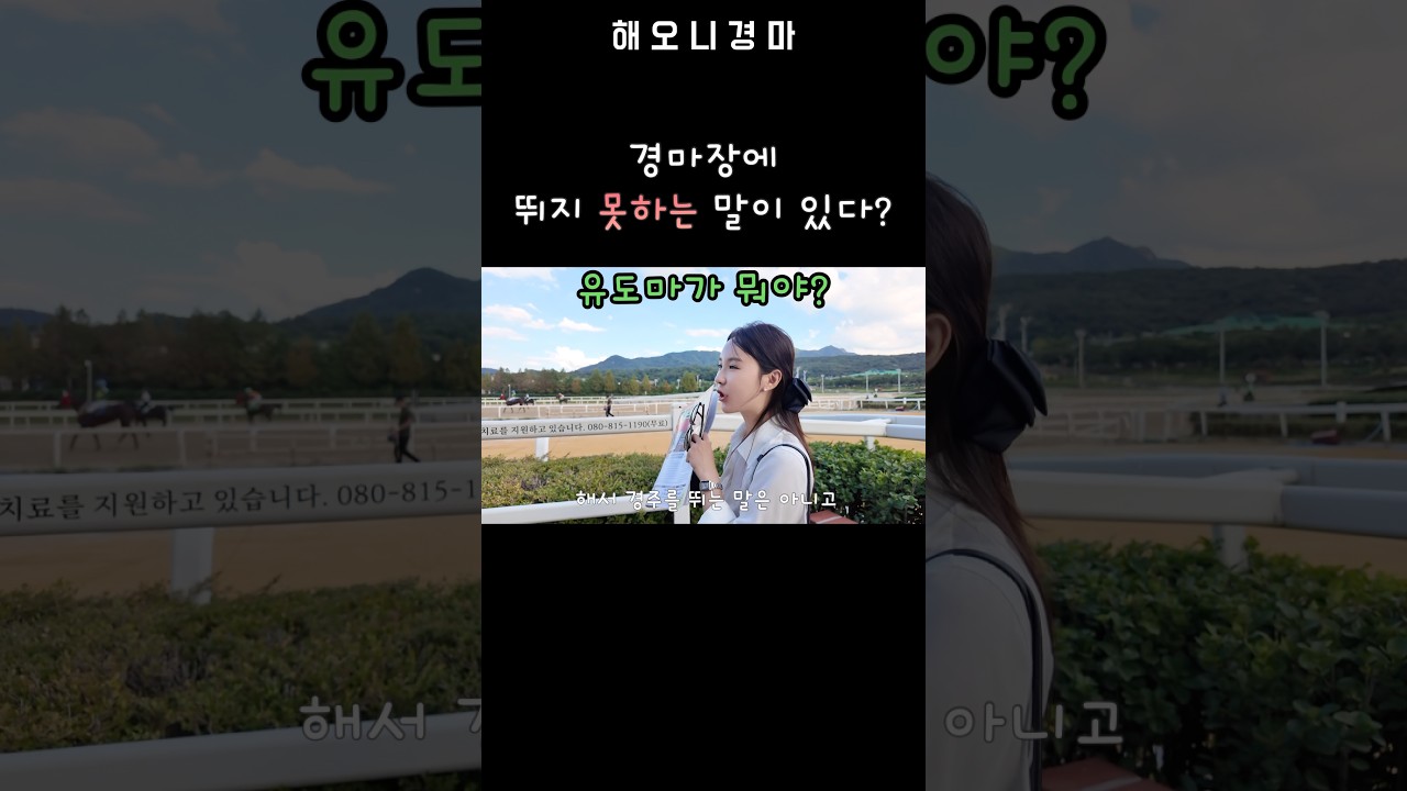 유도마가 뭐길래? 🤔 경마 초보라면 꼭 알아두세요! #해오니경마 #horse #경마 #브이로그