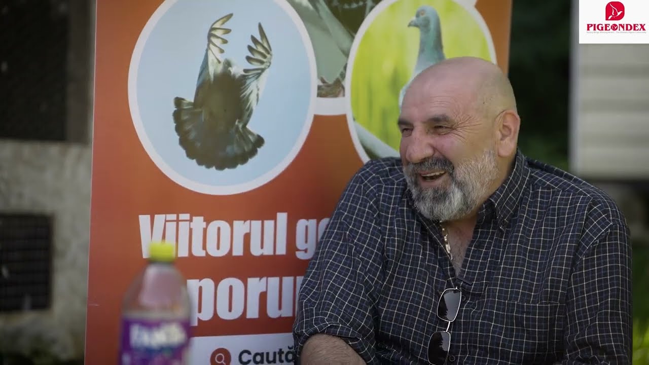 Inceputul unui interviu incendiar cu Florentin Asmarandei 10 Reci & 10 Calde #columbofilie #pigeon