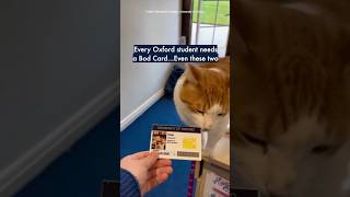 Every Oxford student needs a Bod Card…Even these two 🐈🐈‍⬛ #OxfordUniversity @oxforduniversity