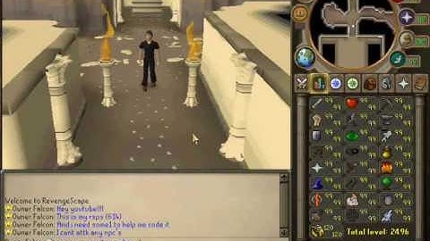 I need help coding my rsps(614)