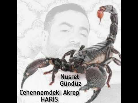 CEHENNEMDEKİ AKREP HARİS-İ DUYDUNUZ MU ? NUSRET GÜNDÜZ