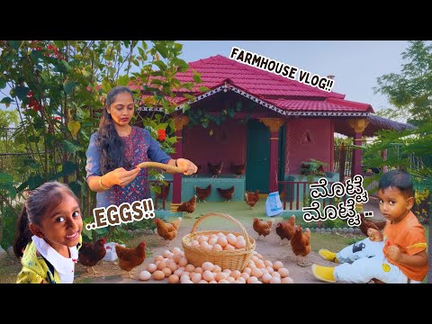 ಕಾಡುತೋಟದಲ್ಲಿ ಸೊಪ್ಪುಗಳ ಭರ್ಜರಿ ಹಾರ್ವೆಸ್ಟಿಂಗ್ । ಚಿನ್ನಿಮಾಗೆ ಬಂಗಾರದ ಕಿವಿಯೋಲೆ । Organic Eggs | Sunday Vlog