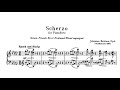 Miniature de la vidéo de la chanson Scherzo In E-Flat Minor, Op. 4