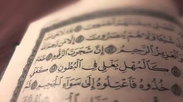ان شجرة الزقوم طعام الاثيم - تلاوه مؤثره جدا - لم تسمع له من قبل " غازي السعدون " - مبكي