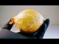 【ASMR】耳がゾクゾクする ❤️玉ねぎの皮をむく音