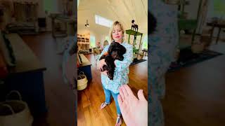 This is a TEDDYBEAR Schnoodle