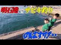 【騒然となった家族連れの釣り】堤防でサビキ釣りしたら喧嘩になりました 船旅 旅行