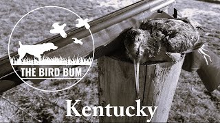 Woodcock Hunting in KentuckyNovember 2023