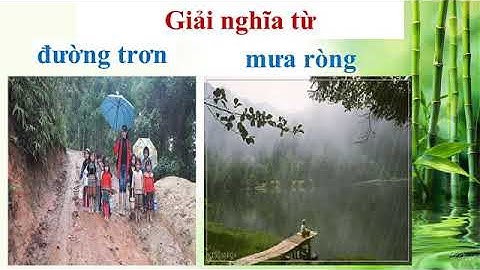 [TẬP ĐỌC 1] TUẦN 26: CÁI BỐNG