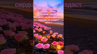 #агнийога #живая_этика #сердце #мудрость_великих_учителей #мудрость