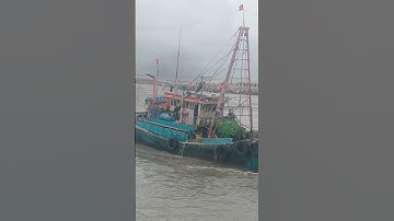 shorts thuyền trưởng tàu ra cửa biển lo sợ trước khi ra cửa