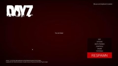 DayZ 1.20 update
