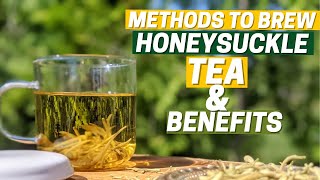 How to make Honeysuckle Tea | HoneySuckle Benefits | Honeysuckle Flower Tea #HealthyTea