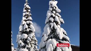 Ayrılık - Şiir Mustafa Metli