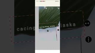 Sebuah Padang Rumput Yg Sepi I Am At Home So Itu Aja