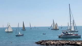 Les Voiles Dantibes 2023 - Port Vaubin