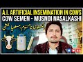 Artificial insemination in cow#veterinary #veterinarypharmacist
