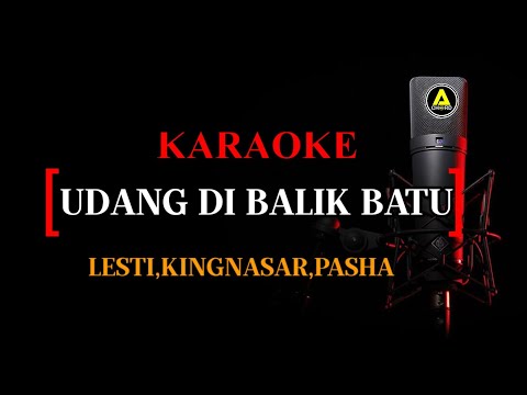 Karaoke Udang Dibalik Batu lesti Nasar Pasha