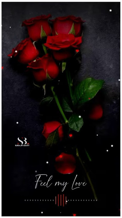Tere Ishq Ne Sathiya Mera Hal Kya Kar Diya WhatsApp Status Video
