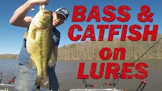 Fishing For B And Catfish With Lures. Swim Baits And Jigs For Giant Fish