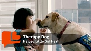 The Dogtor Is In! Meet Telly the Therapy Dog