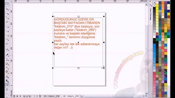 coreldraw vba page auto rename by tuncowsky