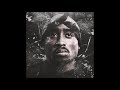 2Pac-Ballin'(maidanez trap mashup 2019)(instrumental by WhityBeatz x PhilyBeatz)