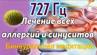 727 Гц: лечение всех аллергий и синуситов  | Частота Райфа | Лечебная звуковая терапия