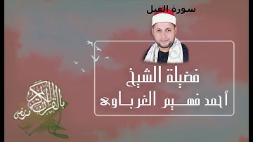 سورة الفيل لفضيلة الشيخ أحمد فهيم الغرباوي