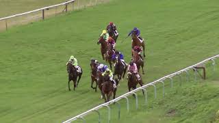 Vidéo de la course PMU PRIJS KOMPAS CAMPING - EX PRIJS PRINCE BIO