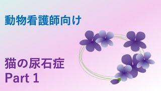 【動物看護師向け・ペット栄養学】猫の尿石症　Part 1 (尿石の種類、結石と結晶の違い、など)