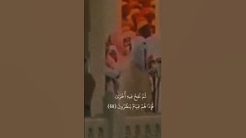 تلاوة جميلة من #سعود_الشريم #تلاوة_خاشعة #اكسبلور #سعود_الشريم #قرآن #تيك_توك #ترند #لايك #متابعه
