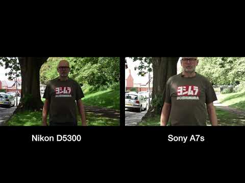 Nikon D5300 vs Sony A7s — Video Test