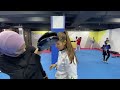 Taekwando wt Target training