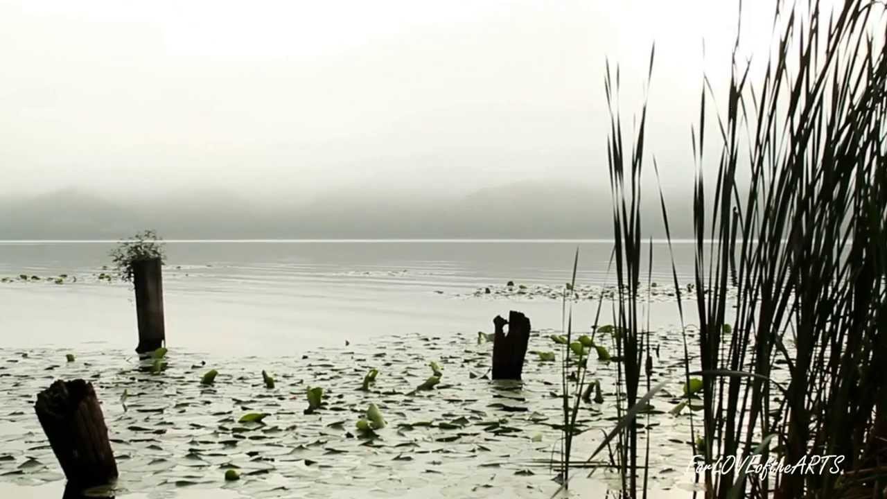 Fleeting Smile - Roger Eno