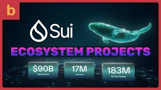 Blockchain Modern Kinetic Typography Video | Sui