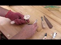 How to Carve a Basic Wooden Spoon - Carving Basics from TreelineUSA