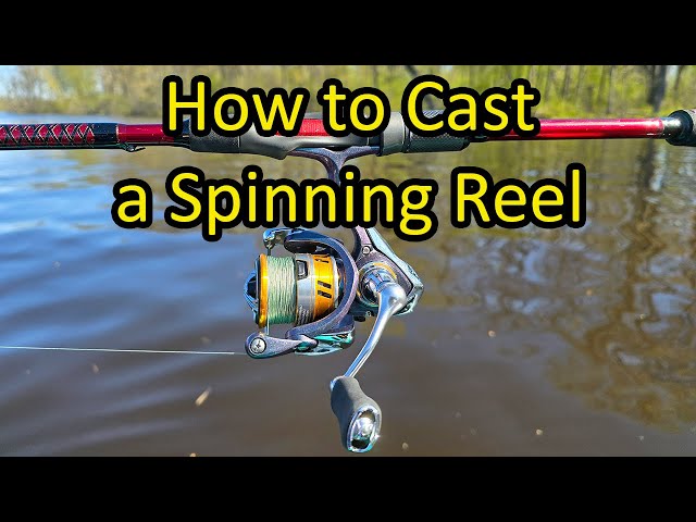 allintitle:use of open faced fishing reel Face Open vs Closed Face Fishing
