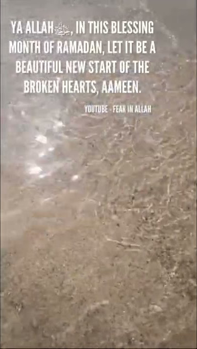 Never lose hope in Allahﷻ #islam #ramadan #islamicreminder #islamicquotes #muslim #hope #dua #shorts