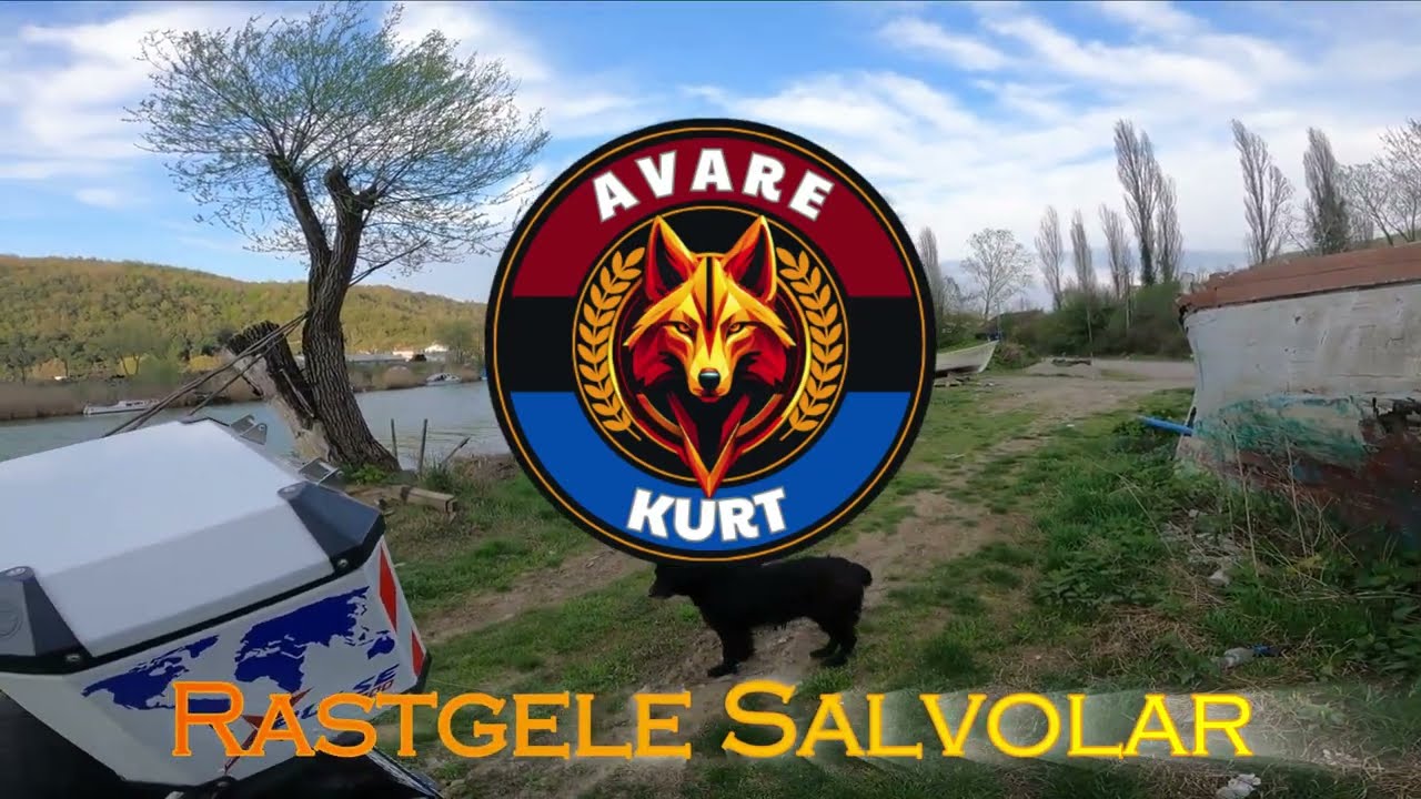 rastgele salvolar