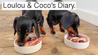 The first ‘Loulou & Coco's Diary’ of the year.