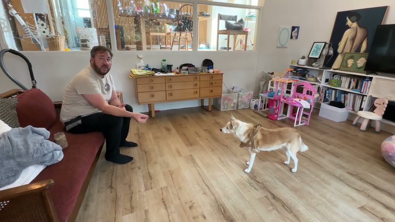 DogTraining Tip For Dogs Afraid of Strangers