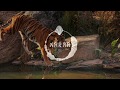Hollygrove Keem Jay Jones Of 0017th Zoo Feat Fetty Wap Remix Karma 