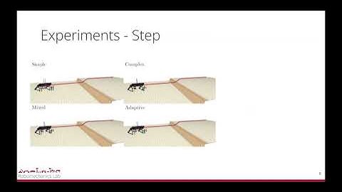 Adaptive Complexity Model Predictive Control